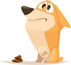 perro con problemas de heses